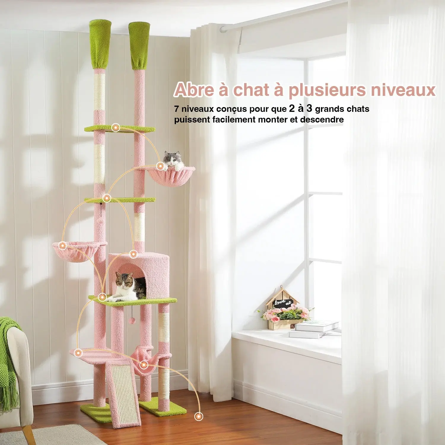 Image du produit 6